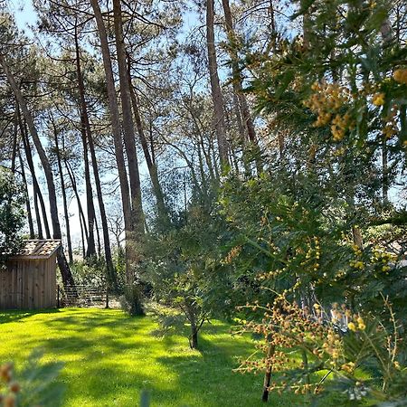 Villa Sophie لانتون المظهر الخارجي الصورة