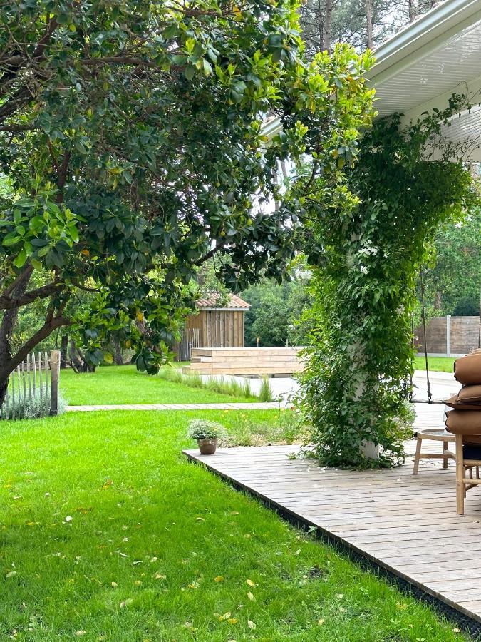 Villa Sophie لانتون المظهر الخارجي الصورة