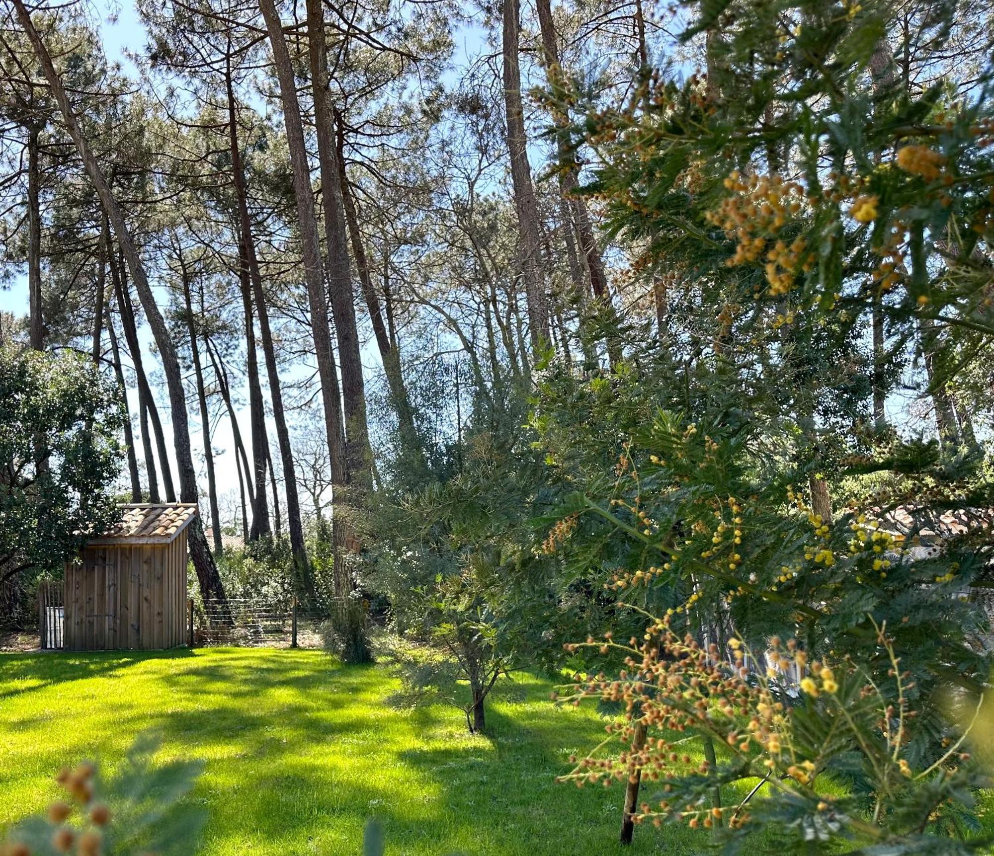 Villa Sophie لانتون المظهر الخارجي الصورة